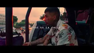 Eme Malafe - Asi Es La Calle (Visualizer)