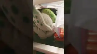 Ey, Get Outta my Fridge!