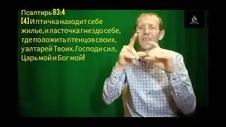 Субботняя школа 11 урок