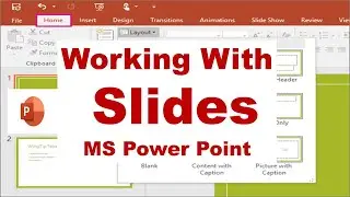 3. Working With Slides - Microsoft PowerPoint Tutorials