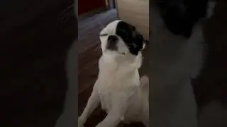 КОМУ НЕ СЛОЖНО., так чисто для проверки ‼️ 