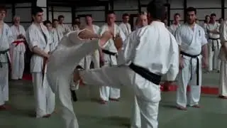 2012 Kanamura Seiji  8th Dan   Seminar in Moscow