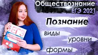 Познание: виды, уровни, формы. ЕГЭ-2021 по обществознанию