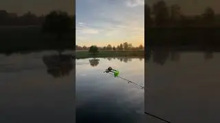 на рыбалке в глуши у леса #рыбалка #отдых #природа #лес #река #fishing #camping #forest