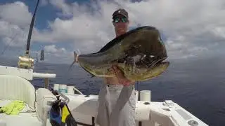 Panama Big Game Fishing Club - Massive Yellowfin Tuna & Mahi