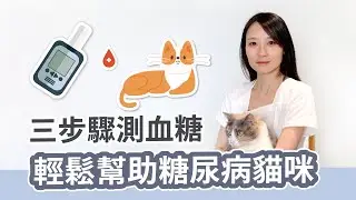 【3步驟測血糖｜輕鬆幫助糖尿貓】