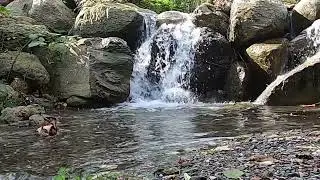 Karadeniz Karışık