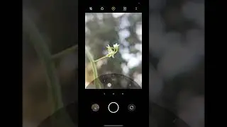 #mobilephotography #youtubeshorts #shortsvideo #photography #creativephotography