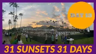 The Paul Simon hangs out with us for Day 13 of 31 Sunsets 🥳