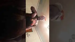 Полноя дич.