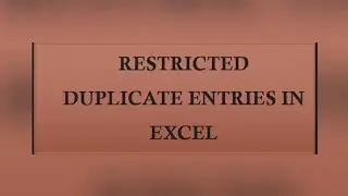 Restricted Duplicate Entries In Excel