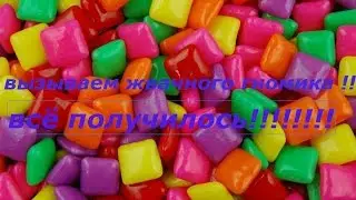 Как правильно вызвать жвачного гномика.У нас все получилось!!!