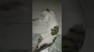 malam aloyganteng