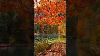 Стихи о жизни | Звуки осени