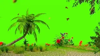 Green Screen Effect Video Green Screen Video kinemaster Green Screen