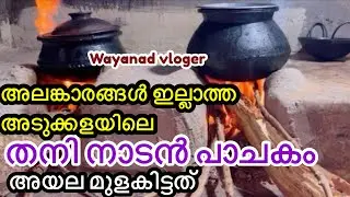 തനി നാടൻ പാചകം | അയല മുളകിട്ടത് | village cooking style video | nadan Recipe video | Shanus wayanad