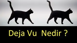 Deja Vu Nedir?