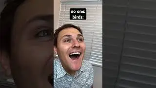 Why Do Birds Do This 😳