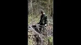 заготовка дров