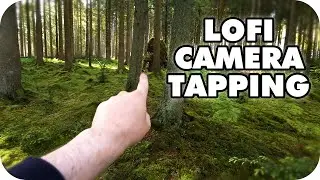 ASMR LoFi Build Up Camera Tapping Outdoors Clicky Mouth Sounds Wet Pebbles Moss Trees Water