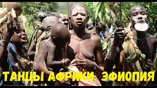 Dances of Africa. In the village of the Surma tribe. Танцы Африки. В деревне племени Сурма.