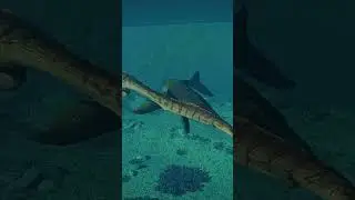 TYLOSAURUS VS STYXOSAURUS - JWE2