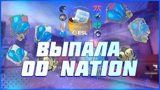 ОТКРЫЛ 50 КАПСУЛ С НАКЛЕЙКАМИ 00 Nation | ОТКРЫТИЕ КАПСУЛ В CS:GO