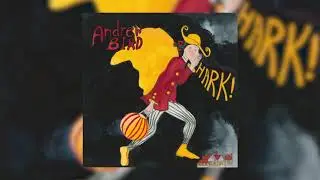 Andrew Bird - Greenwine (Official Audio)