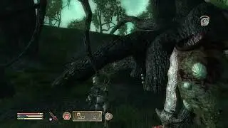 This is my favorite type of Oblivion glitch