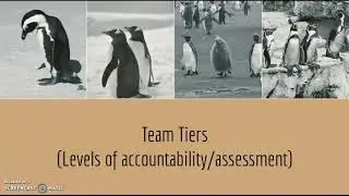 Classroom Culture 2.0