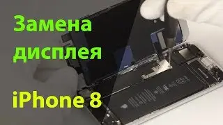 Замена дисплея на iPhone 8