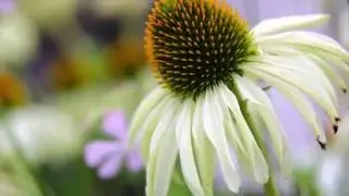 Enchanting Moments at Marksberg Castle, Germany 馬克斯保格城堡, 德國2014.08