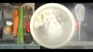 Spring Forward Chicken Stock