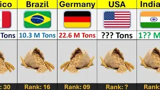 Top Countries by Wheat Production | Global Rank
