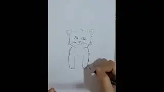 تعلم رسم القطه خطوه ب خطوه 🐱🐱