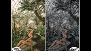 Grey Tones Lightroom Presets