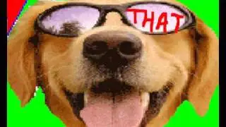 omg MC FUNNYDOG - THE DOG THAT SAYS "DIG THAT"