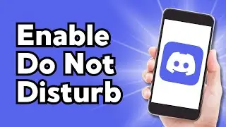 How To Enable Do Not Disturb On Discord (2024)