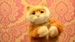 Giới thiệu Mèo nhảy theo nhạc
