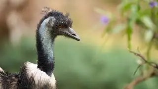 Feeding time for Jerry & Margaret 😋