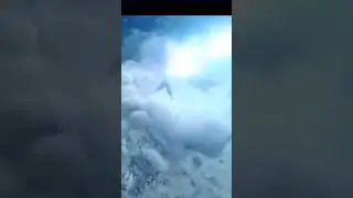cuando ves el Goku del barrio 