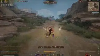Ниндзя против лучницы / Ninja VS Ranger / Black Desert