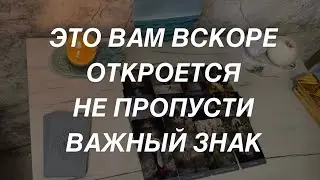 Таро расклад для мужчин. Это Вам Вскоре Откроется 🔥✨🙏💯 Не Пропускай Это Видео!🙏