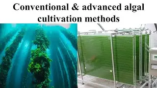 Conventional & advanced algal cultivation methods