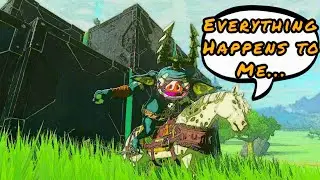 A Stalled Carriage and Miserable Horse || The Legend of Zelda: Tears of the Kingdom