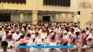 красивое чтение корана мухаммад аль-люхайдан,рамадан 2014