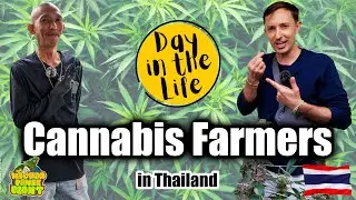 We visited a Cannabis Farm in Thailand
