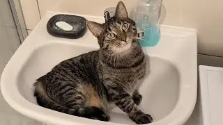 Jenny enjoying the washbasin