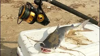 Dropping A BIG! Gafftop 200 Yards off Holly Beach for Something Big