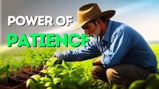 The Power of Patience - A Short Story of Patience & Wisdom